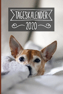 Tageskalender 2020: Terminkalender ca DIN A5 wei? ?ber 370 Seiten I 1 Tag eine Seite I Jahreskalender I Chihuahua I Hunde