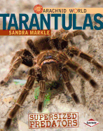 Tarantulas: Supersized Predators