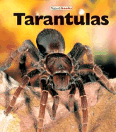 Tarantulas - Murray, Peter