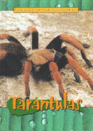 Tarantulas