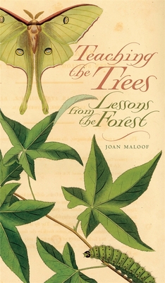 Teaching the Trees: Lessons from the Forest - Maloof, Joan
