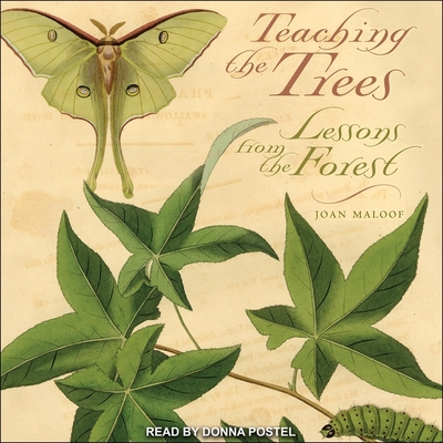 Teaching the Trees: Lessons from the Forest - Postel, Donna (Read by), and Maloof, Joan