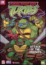 FUNIMATION Teenage Mutant Ninja Turtles DVD Box Set Volumes 1 - 4