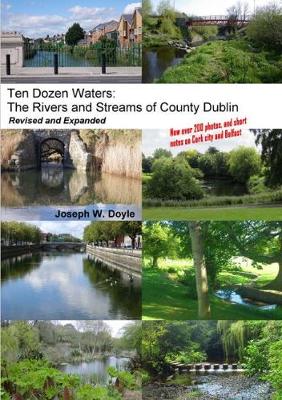 Ten Dozen Waters: The Rivers and Streams of County Dublin - 