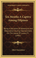 Ten Months a Captive Among Filipinos: Being a Narrative of Adventure and Observation During Imprisonment on the Island of Luzon, Page 1