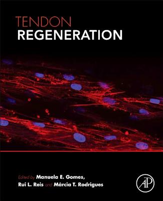 Tendon Regeneration: Understanding Tissue Physiology and Development to Engineer Functional Substitutes - Gomes, Manuela E. (Editor), and Reis, Rui L. (Editor), and Rodrigues, Mrcia T., PhD (Editor)