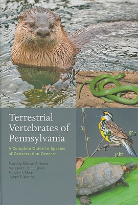 Terrestrial Vertebrates of Pennsylvania: A Complete Guide to Species of Conservation Concern - Steele, Michael A (Editor), and Brittingham, Margaret C (Editor), and Maret, Timothy J (Editor)