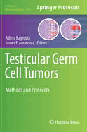 Testicular Germ Cell Tumors: Methods and Protocols