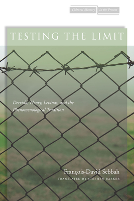 Testing the Limit: Derrida, Henry, Levinas, and the Phenomenological Tradition - Sebbah, Franois-David, and Barker, Stephen (Translated by)