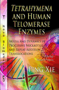 Tetrahymena & Human Telomerase Enzymes: Model & Dynamics of Processive Nucleotide & Repeat Addition Translocations