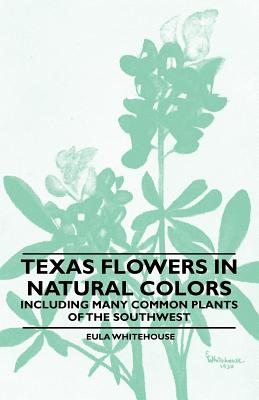 Texas Flowers in Natural Colors - Including Many Common Plants of the Southwest - Whitehouse, Eula