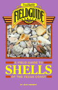 Texas Monthly Field Guide to Shells of the Texas Coast - Andrews, Jean