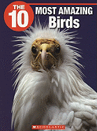 The 10 Most Amazing Birds - Jenkins, Meghan Jennifer