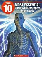 The 10 Most Essential Chemical Messengers in the Body