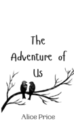 The Adventure of Us