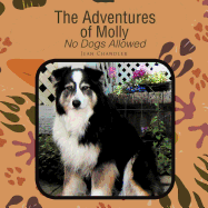 The Adventures of Molly: No Dogs Allowed