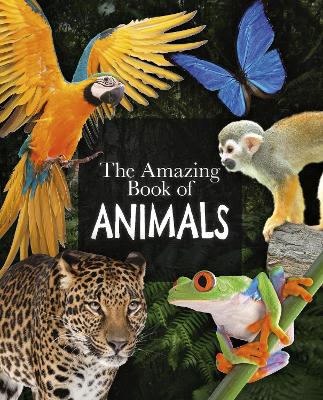 The Amazing Book of Animals - Leach, Michael, Dr., and Lland, Meriel, Dr.