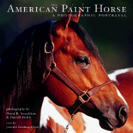 The American Paint Horse: A Photographic Portrayal