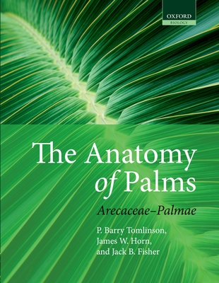 The Anatomy of Palms: Arecaceae - Palmae - Tomlinson, P. Barry, and Horn, James W., and Fisher, Jack B.