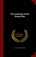 The Anatomy of the Honey Bee