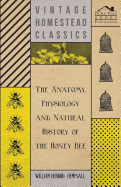 The Anatomy, Physiology and Natural History of the Honey Bee
