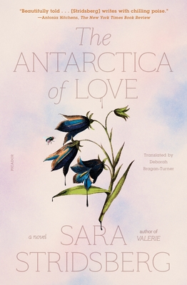 The Antarctica of Love - Stridsberg, Sara, and Bragan-Turner, Deborah (Translated by)