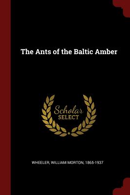 The Ants of the Baltic Amber - Wheeler, William Morton 1865-1937 (Creator)