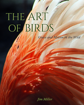 The Art of Birds: Grace and Motion in the Wild - Miller, Jim