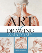 The Art of Drawing Anatomy