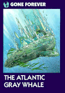 The Atlantic Gray Whale