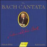 The Bach Cantata, Vol. 13