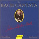 The Bach Cantata, Vol. 37