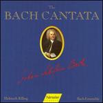 The Bach Cantata, Vol. 38