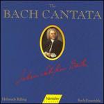 The Bach Cantata, Vol. 48