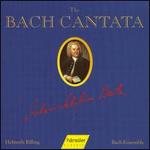 The Bach Cantata, Vol. 56