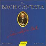 The Bach Cantata, Vol. 66 - Adalbert Kraus (tenor); Aldo Baldin (tenor); Ann Murray (alto); Arleen Augr (soprano); Costanza Cuccaro (soprano);...