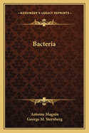 The Bacteria