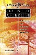 The Beginner's Guide to Sex in the Afterlife: An Exploration of the Extraordinary Potential of Sexual Energy