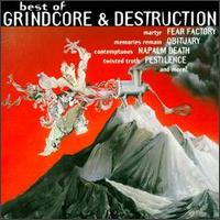 The Best of Grindcore & Destruction - Various Artists