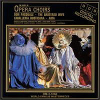 The Best of Opera Choirs - Radio Symphony Orchestra; Marko Munih (conductor)
