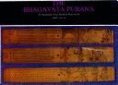 The Bhagavata Purana, an Illustrated Oriya Palmleaf Manuscript, Parts VIII-IX