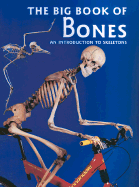 The Big Book of Bones - Llewellyn, Claire