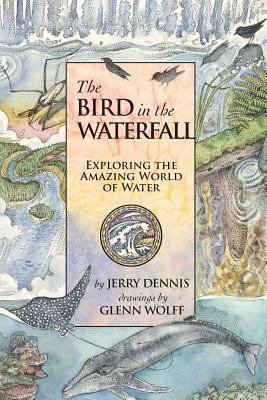The Bird in the Waterfall: Exploring the Wonders of Water - Wolff, Glenn (Illustrator), and Dennis, Jerry