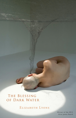 The Blessing of Dark Water - Lyons, Elizabeth