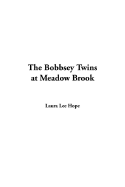 The Bobbsey Twins at Meadow Brook