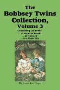 The Bobbsey Twins Collection, Volume 3: At Meadow Brook; At Home; In a Great City