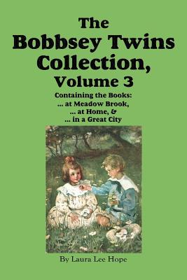 The Bobbsey Twins Collection, Volume 3: at Meadow Brook; at Home; in a Great City - Hope, Laura Lee, and Garis, Howard R