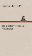 The Bobbsey Twins in Washington