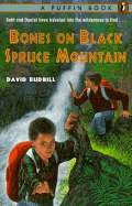The Bones on Black Spruce Mountain
