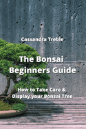 The Bonsai Beginners Guide: How to Take Care & Display your Bonsai Tree